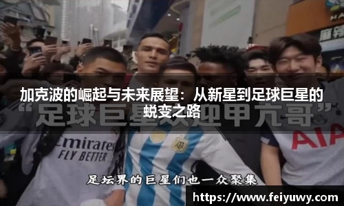 完美.(中国)体育官方网站