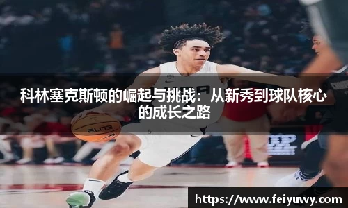 完美.(中国)体育官方网站