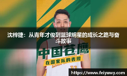 完美.(中国)体育官方网站