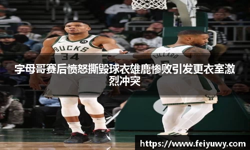 完美.(中国)体育官方网站